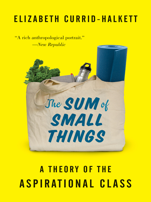 Title details for The Sum of Small Things by Elizabeth Currid-Halkett - Wait list